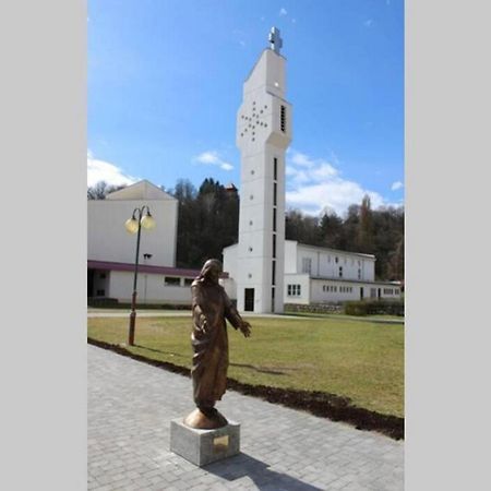 Apartmant Sandra - Big Terace And Free Parking Lejlighed Karlovac Eksteriør billede