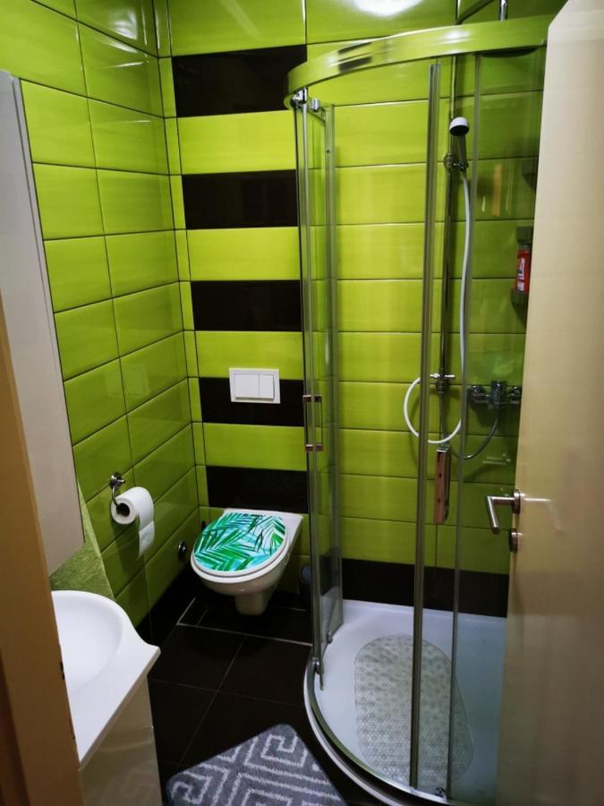 Apartmant Sandra - Big Terace And Free Parking Lejlighed Karlovac Eksteriør billede