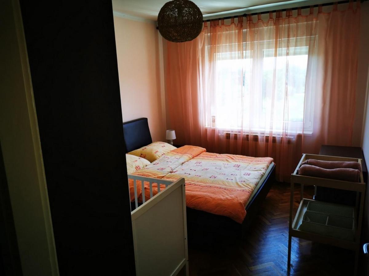 Apartmant Sandra - Big Terace And Free Parking Lejlighed Karlovac Eksteriør billede