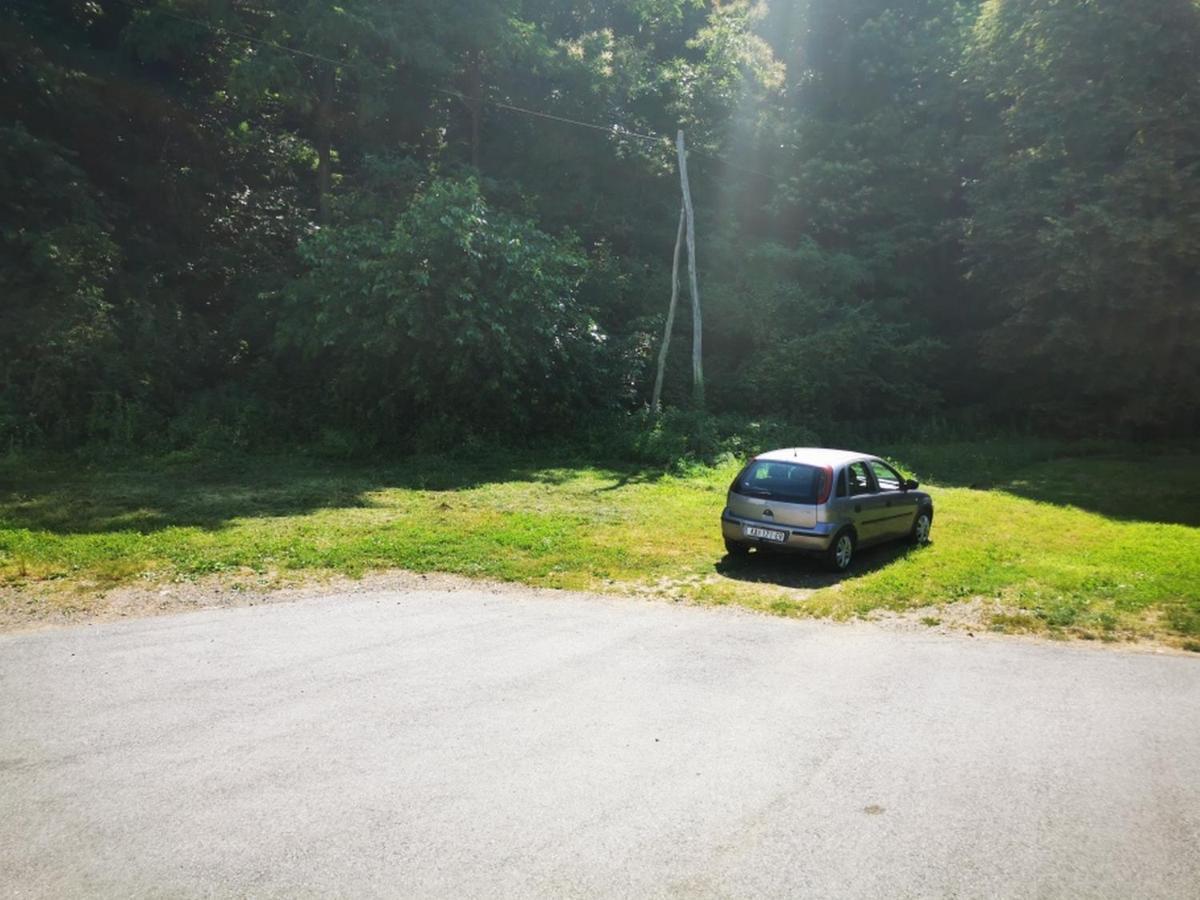 Apartmant Sandra - Big Terace And Free Parking Lejlighed Karlovac Eksteriør billede