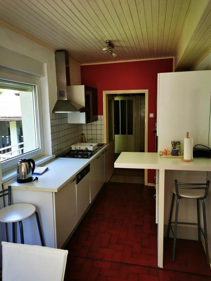 Apartmant Sandra - Big Terace And Free Parking Lejlighed Karlovac Eksteriør billede